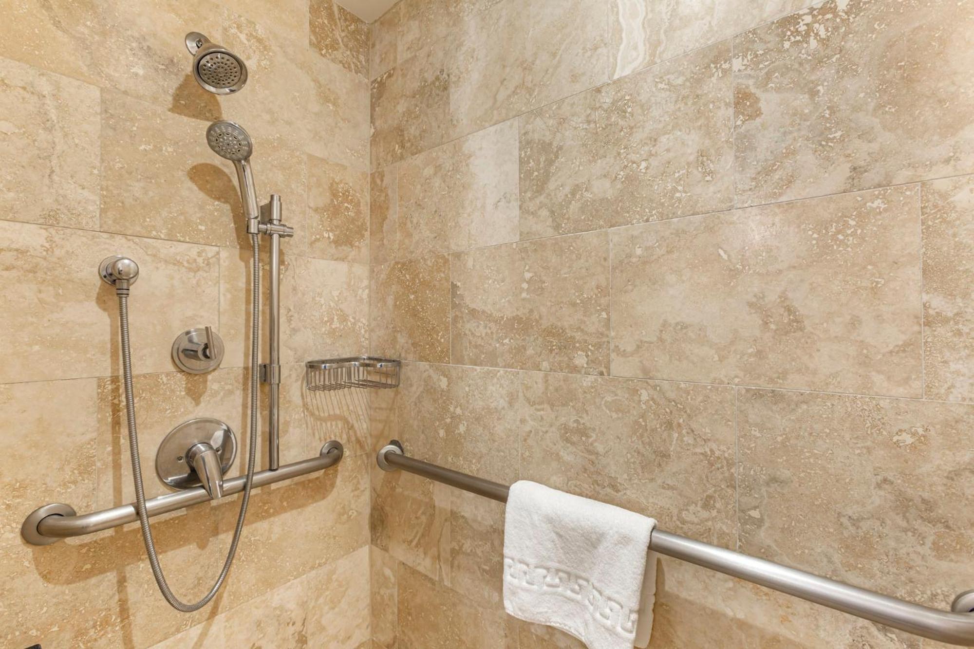 Accessible Deluxe Room Roll Shower 1 King Bed