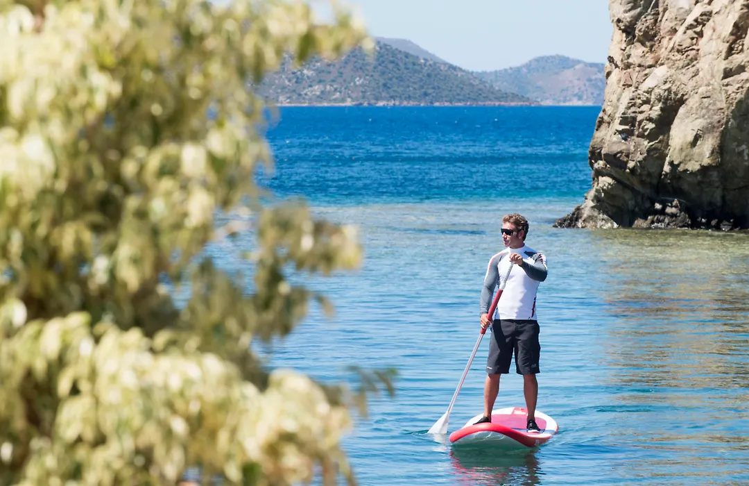 D Maris Bay-1