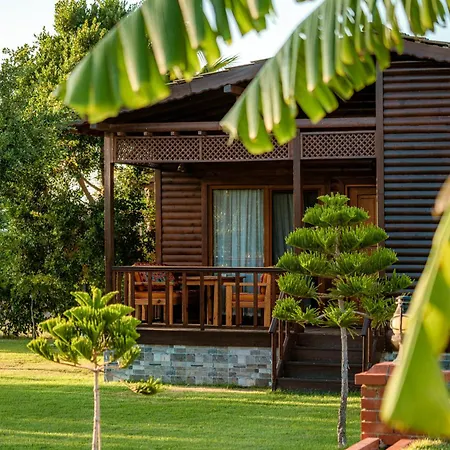Sedir Park - Beach Bungalow-3