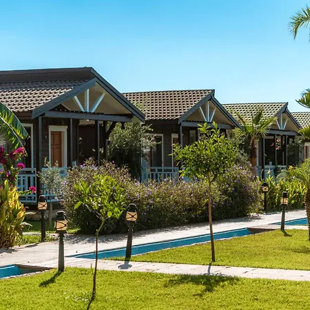 Sedir Park - Beach Bungalow-2