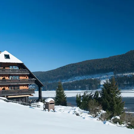 Alemannenhof - Boutique Hotel Am Titisee-2