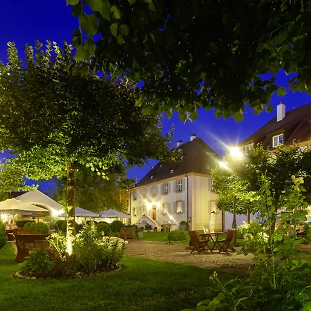 Schloss Reinach-2