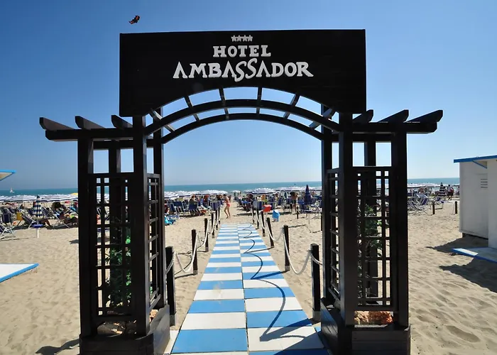  Ambassador