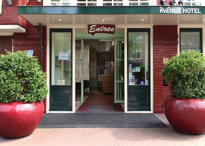 3 SterneHotel Avenue