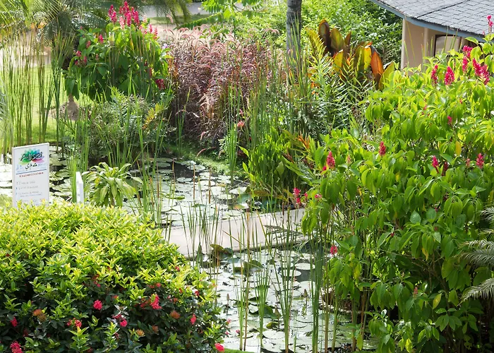 Resort: Hotel Alisei