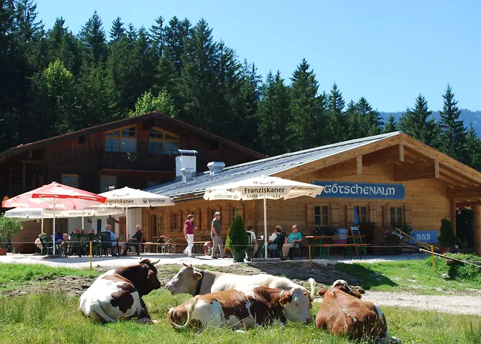 3-Sterne-Hotel: Alpengasthof Götschenalm