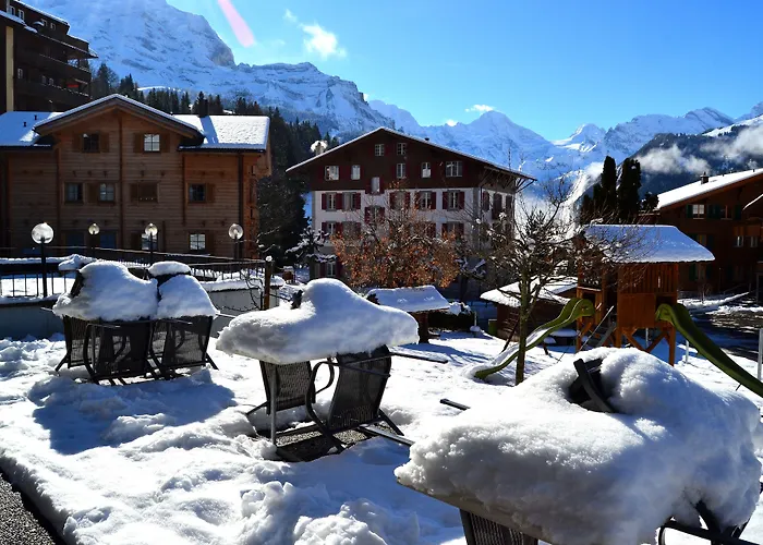 Alpenkräuter Bären
