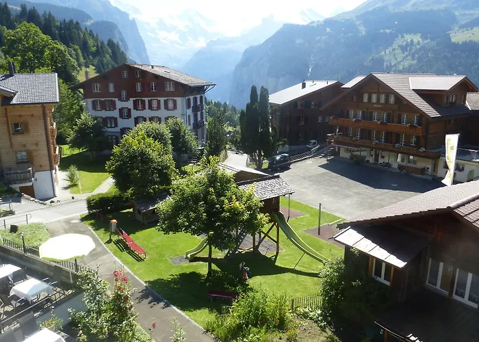Alpenkräuter Bären