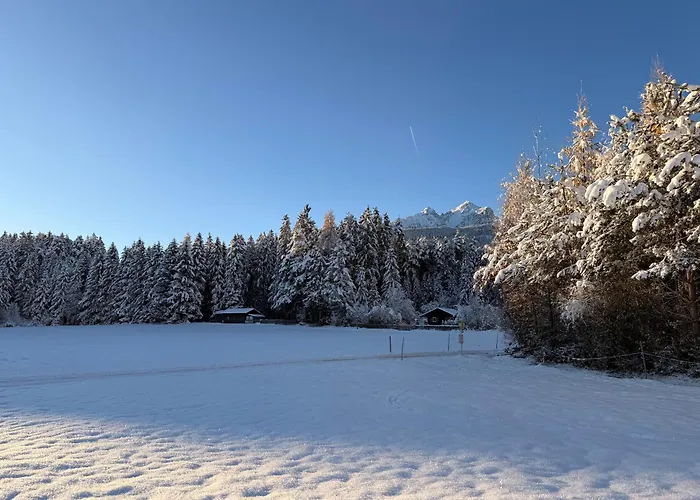 Waldchalet am Eichhof