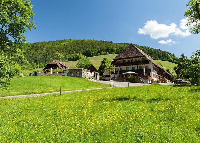 3-Sterne-Hotel: Landgasthaus Grüner Baum