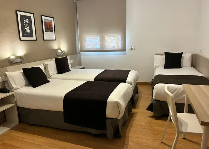 Haustierfreundliches Hotel: Hotel Travessera
