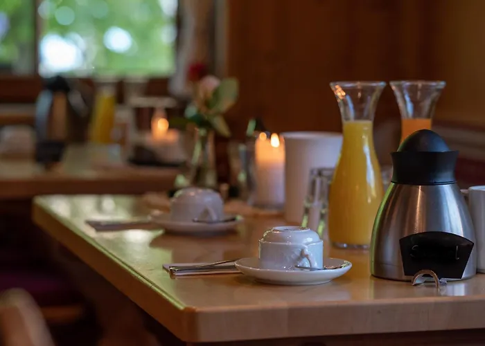 Hotel&Restaurant Grüner Baum - Die Grüne Oase Am Feldberg