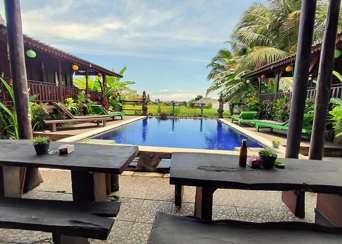 Green Paddy Hostel & Villa