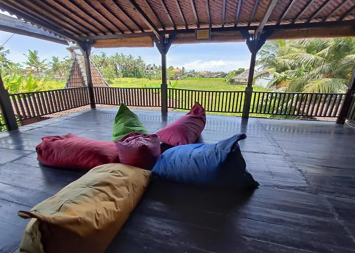 Green Paddy Hostel & Villa