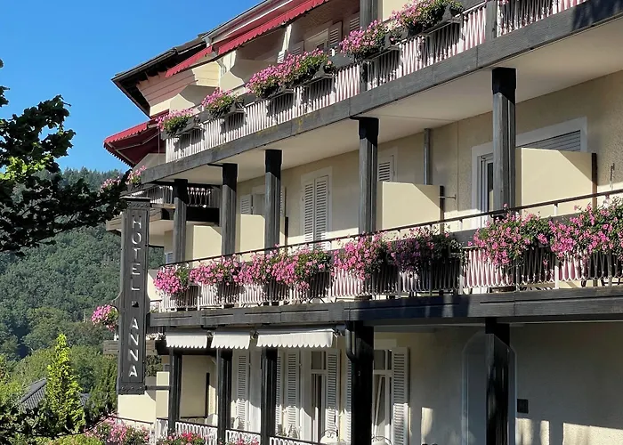 Hotel Anna