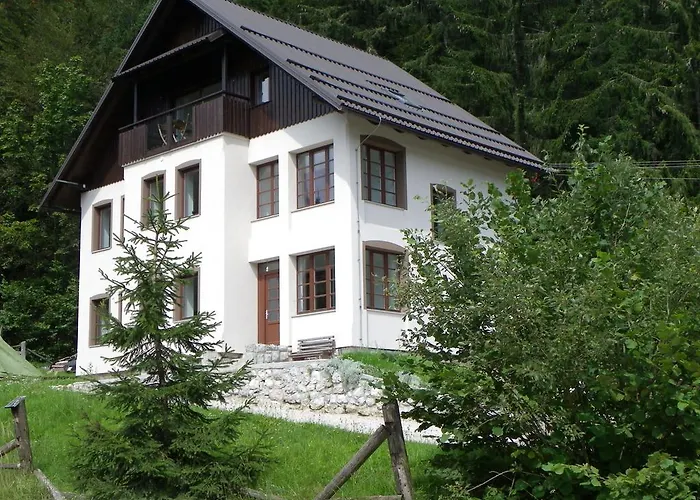 Haustierfreundliches Hotel: Triglav Park House