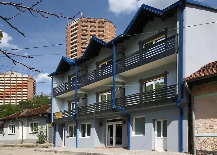 Vila Turistica Floare De Colt