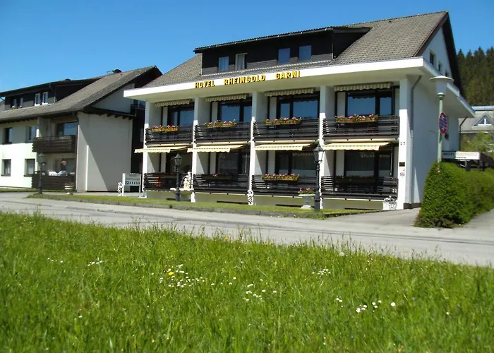 3 SterneHotel Rheingold Garni