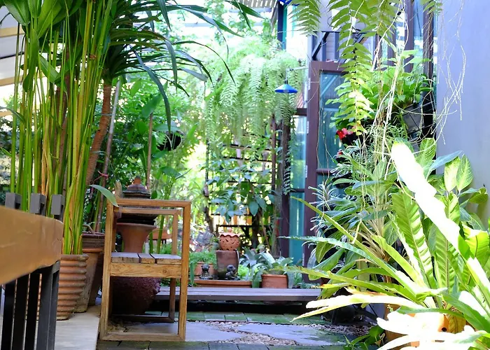 Hotel: The White Elephant Home