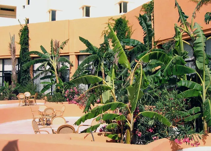 African Queen Hammamet